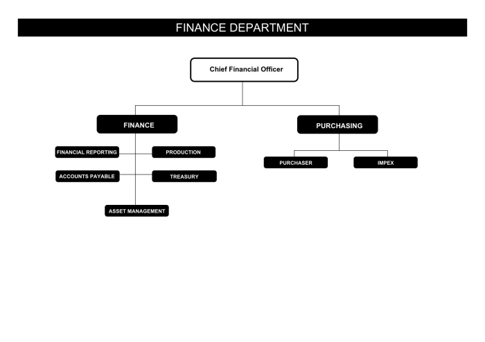 Finance & Purchasing 